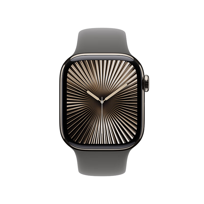 Apple/苹果 Watch Series 10 智能手表GPS+蜂窝款42毫米原色钛金属表壳岩灰色运动型表带M/L MWXV3CH/B
